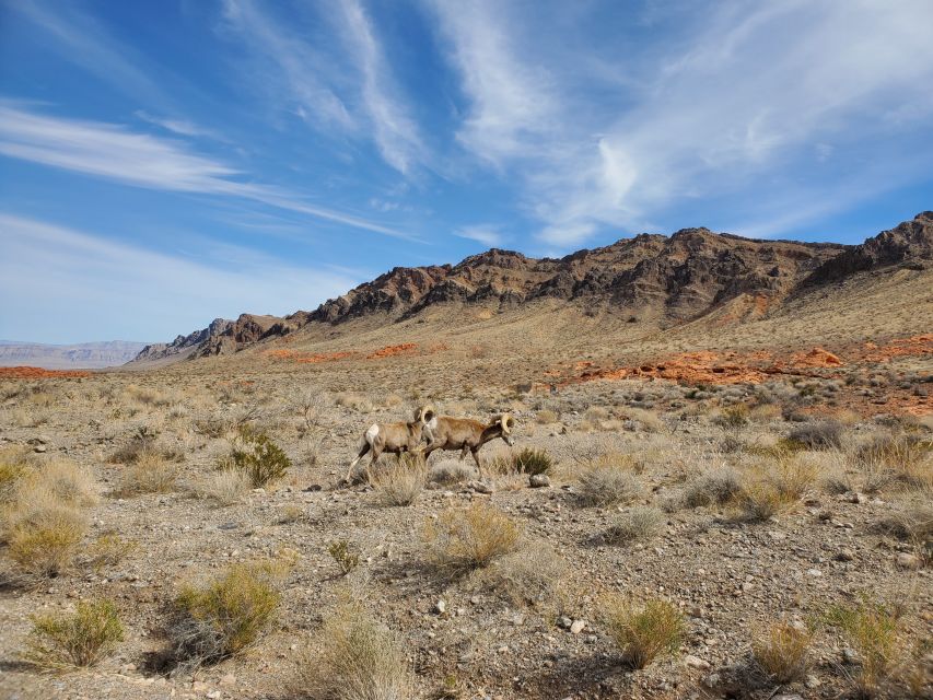 Las Vegas: Hoover Dam & Valley of Fire Day Trip with Brunch - Atlatl Rock and 4,000-year-old petroglyphs