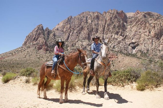 Las Vegas Horseback Ride with Meal - Key points to know before booking