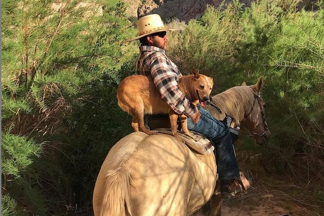 Las Vegas Horseback Ride with Meal - From the Strip to 1500 Lewis Ranch Road