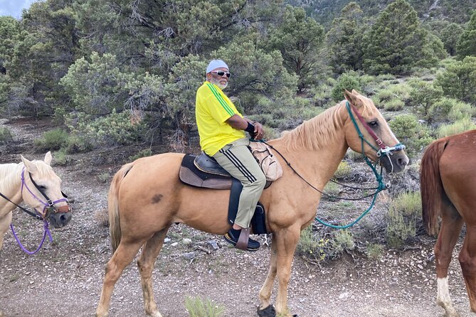 Las Vegas Horseback Riding Adventure - Who should book this horseback ride?