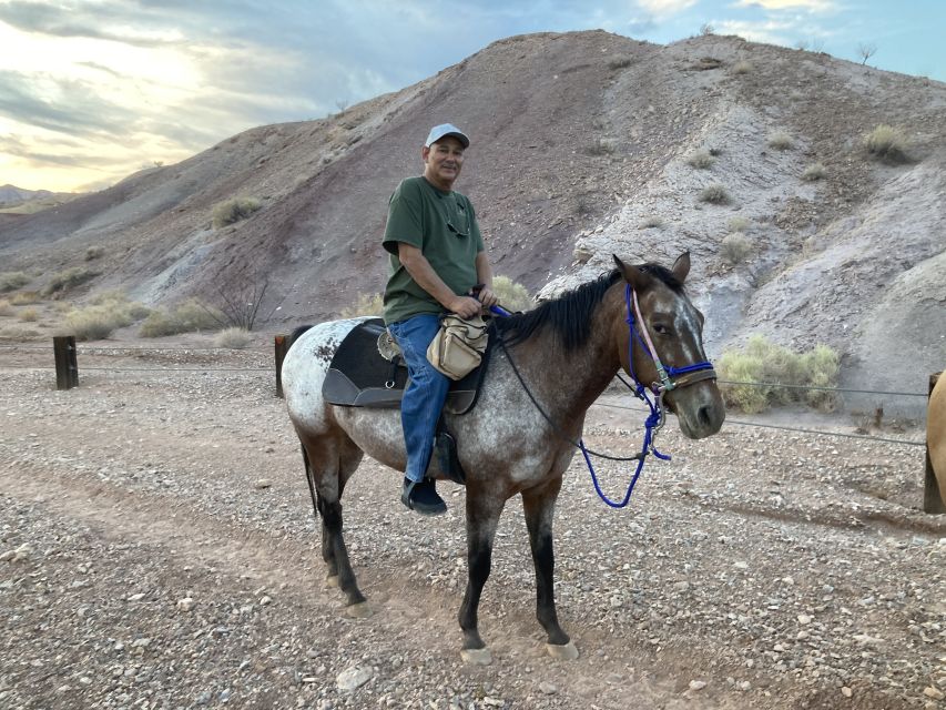 Las Vegas: Horseback Riding Tour - Who should book this horseback ride?