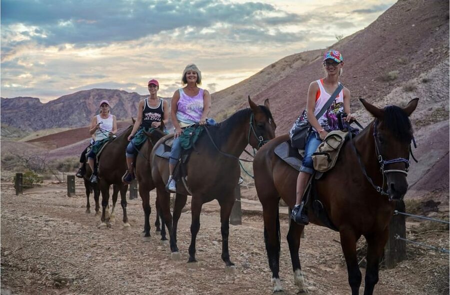 Las Vegas: Horseback Riding Tour with Lunch - The horse photo and the small personal touch