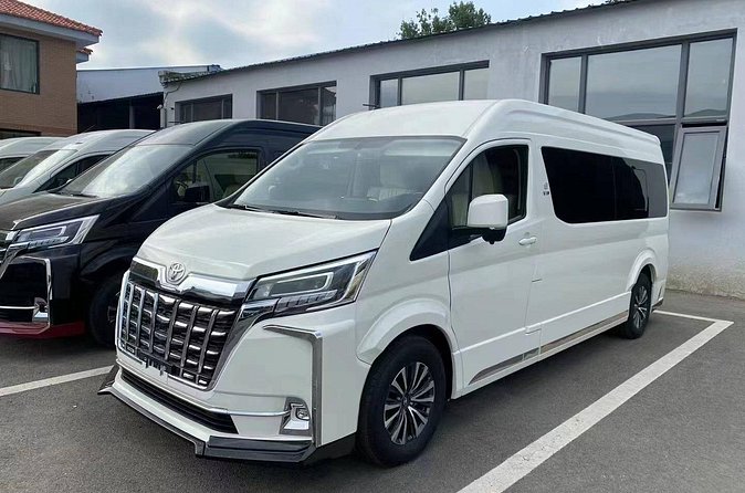 Las Vegas: LAS Airport to Las Vegas Stripe Hotels Shared Transfer - Accessibility and special needs