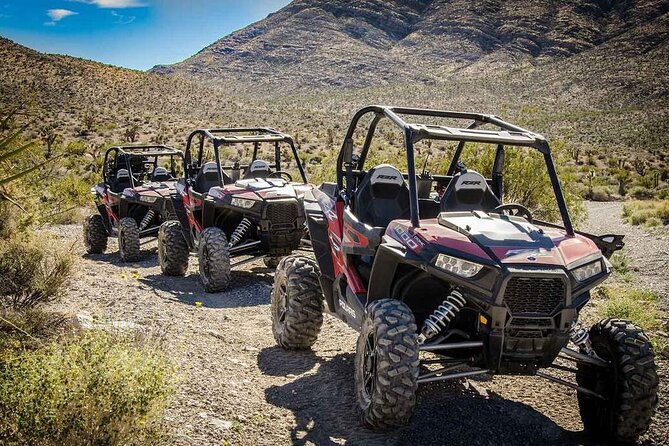 Las Vegas Mini Desert RZR Adventure - Key points to know before you book