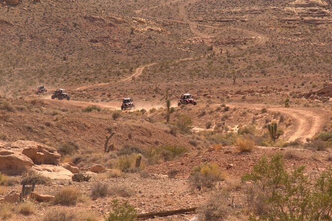 Las Vegas Mini Desert RZR Adventure - What is included, and what can cost extra