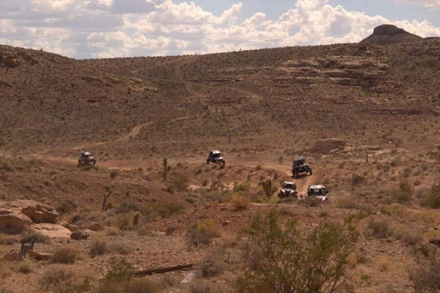 Las Vegas Mojave Off Road Adventure |Guided Tour-Let's Ride! - Joshua trees, cactus, flowers, and desert silence
