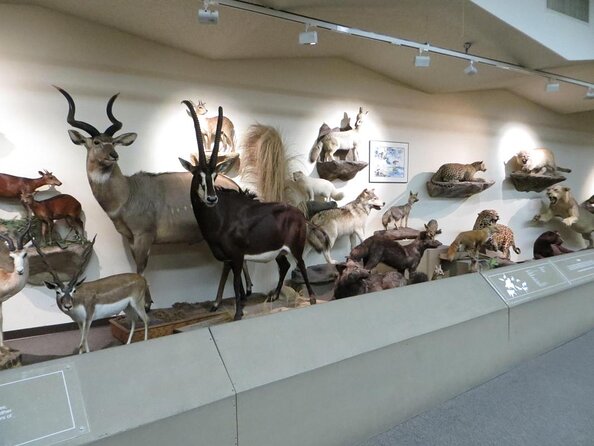 Las Vegas Natural History Museum Admission Ticket - Key points to know before you go