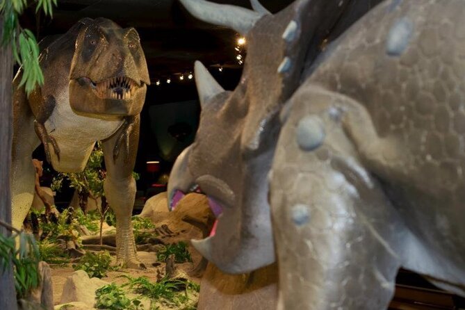 Las Vegas Natural History Museum Admission Ticket - Entering a small museum with a surprising amount to see