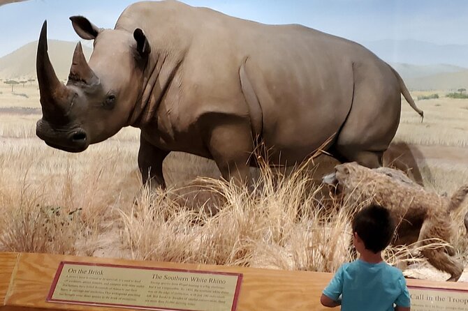 Las Vegas Natural History Museum Admission Ticket - African wildlife and the logic of predator and prey
