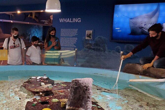 Las Vegas Natural History Museum Admission Ticket - Ice Age mammals and the Wild Nevada room