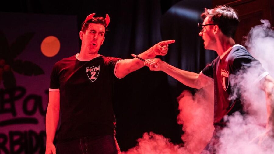 Las Vegas: Potted Potter - The Unauthorized Harry Experience - Who will enjoy Potted Potter most?