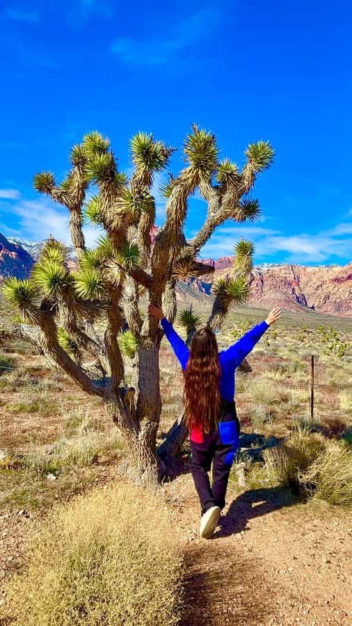 Las Vegas: Private Red Rock Canyon Guided Driving Adventure - Key points at a glance
