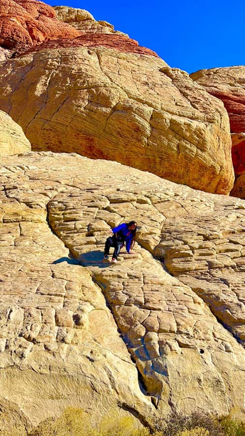 Las Vegas: Private Red Rock Canyon Guided Driving Adventure - Photo stops, desert cliffs, and possible wildlife