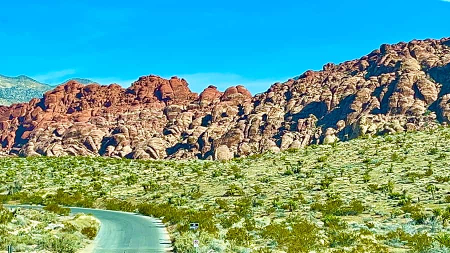 Las Vegas: Private Red Rock Canyon Guided Driving Adventure - What $117 per person buys you