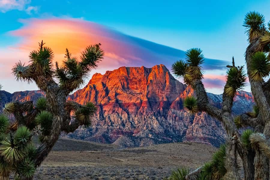 Las Vegas: Private Red Rock Canyon Guided Driving Adventure - The scenic drive through Red Rock Canyon