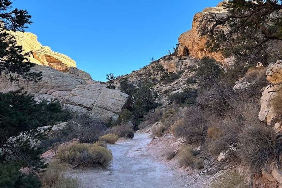 Las Vegas: Red Rock Canyon Guided Hike with Pickup - Should you book the Red Rock Canyon hike?