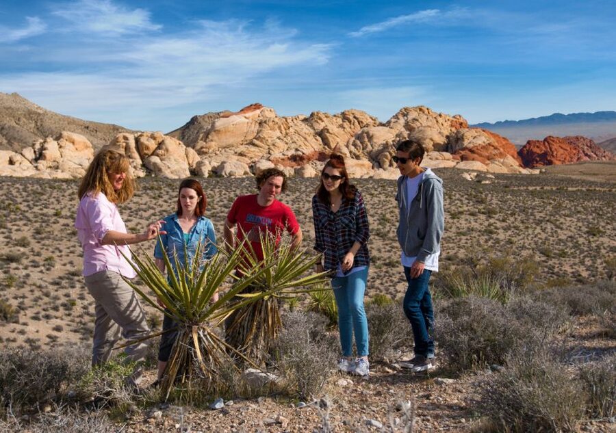 Las Vegas: Red Rock Canyon Tour & Rocky Gap 4x4 Adventure - Key points at a glance