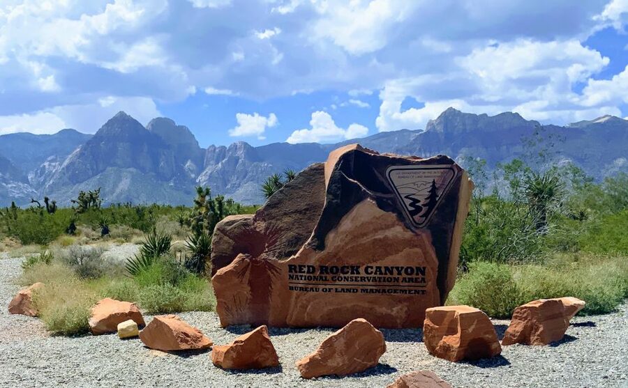 Las Vegas: Red Rock Canyon & Whimsical Cactus Joe's + Lunch - Key points to know before booking