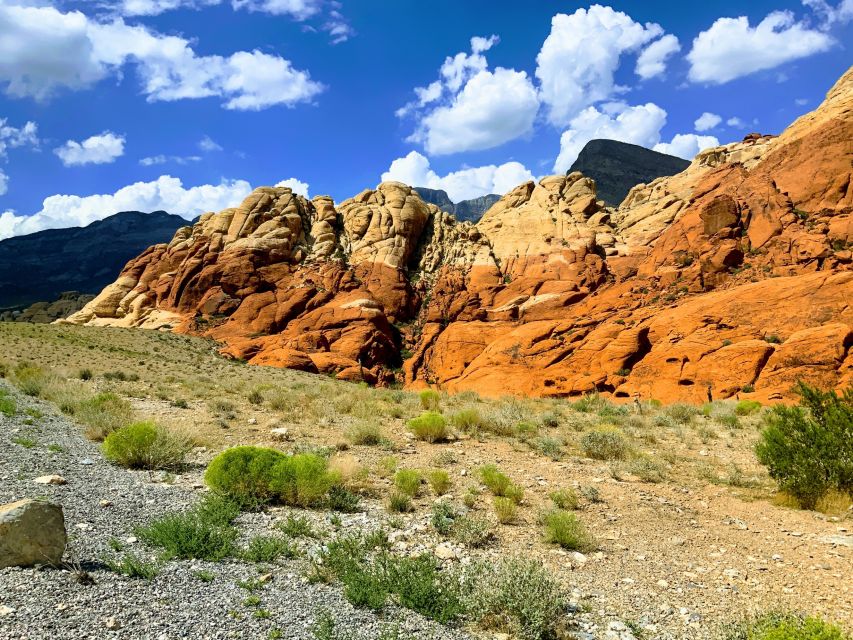 Las Vegas: Red Rock Canyon & Whimsical Cactus Joe's + Lunch - Who will enjoy it most