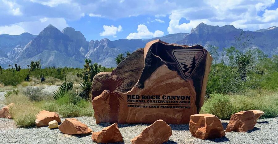 Las Vegas: Red Rock Canyon & Whimsical Cactus Joe's + Lunch - Red Rock Canyon: red cliffs, open views, and desert quiet
