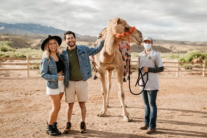Las Vegas Safari Tram Ride and Zoo Tour at Camel Safari - The tram ride across 176 acres