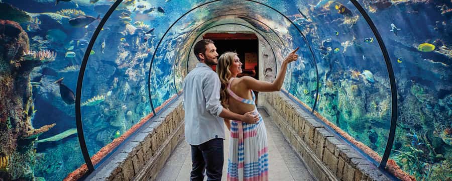 Las Vegas: Shark Reef Aquarium Entry Ticket - Fourteen exhibits, with more than sharks