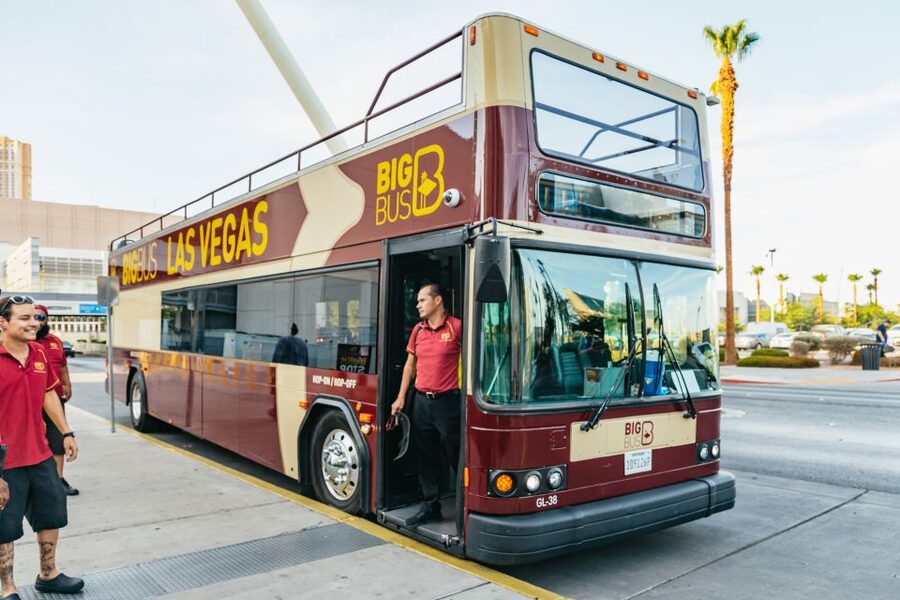 Las Vegas: Sightseeing Night Tour by Open-top Bus - Who should take this tour?