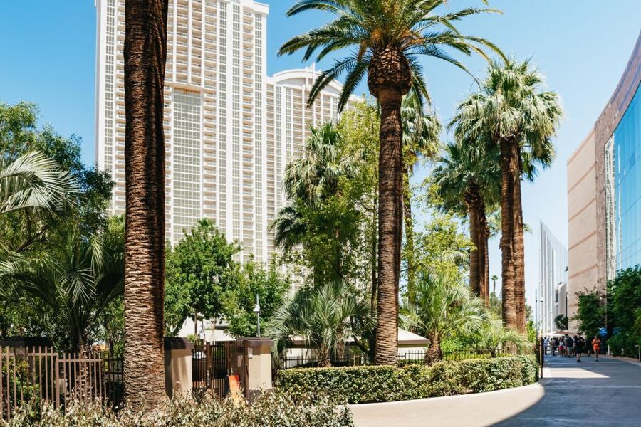 Las Vegas Strip: 3-Stop Pool Party Crawl with Party Bus - Is $99 good value?