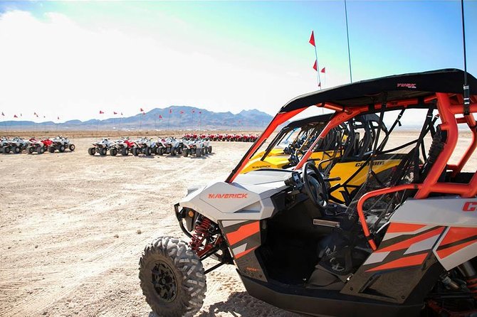 Las Vegas UTV / Buggy's Tours - Who will enjoy this UTV tour most