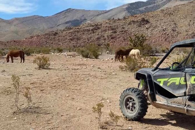 Las Vegas UTV Tour - Leaving the Strip for Goodsprings