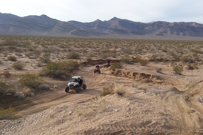 Las Vegas UTV Tour - Who will enjoy this most?
