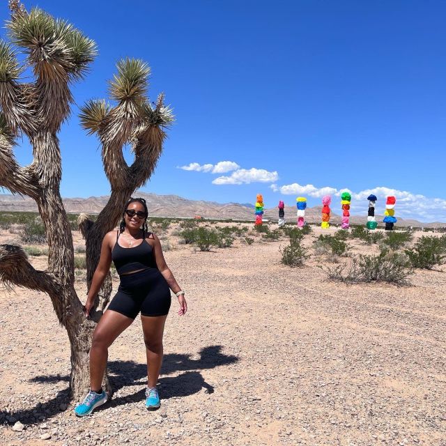 Las Vegas: Valley of Fire and Red Rock Canyon Day Trip - Transport, timing, and the price