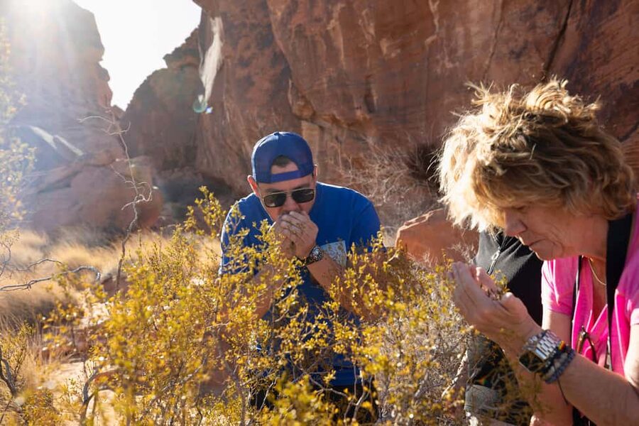 Las Vegas: Valley of Fire and Red Rock Canyon Day Trip - Why Valley of Fire is the real star