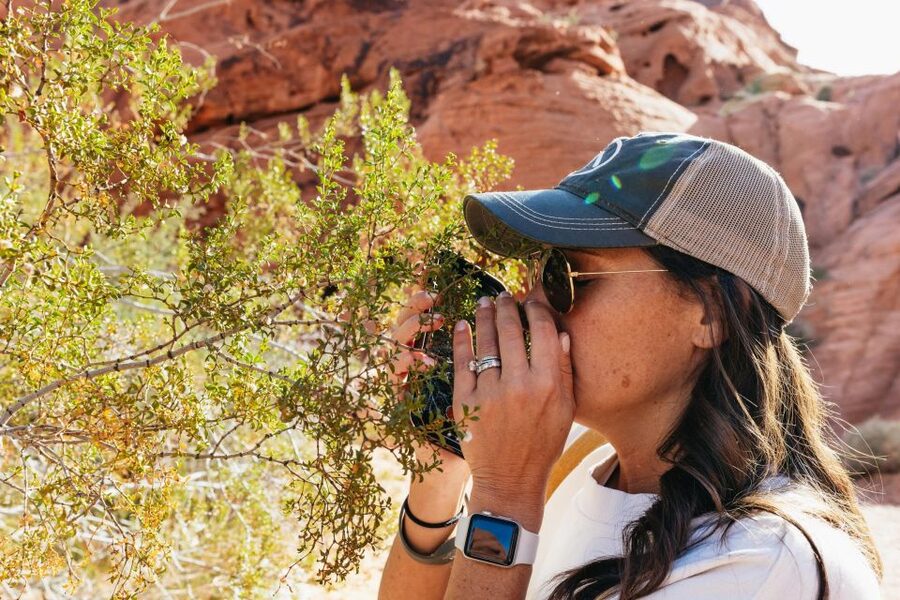 Las Vegas: Valley of Fire Guided Hike with Drinks and Snacks - Lake Mead views and the visitor center