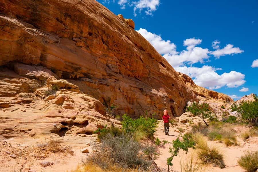 Las Vegas: Valley of Fire Half-Day Guided Hike with Pickup - Leaving Las Vegas for red rock country