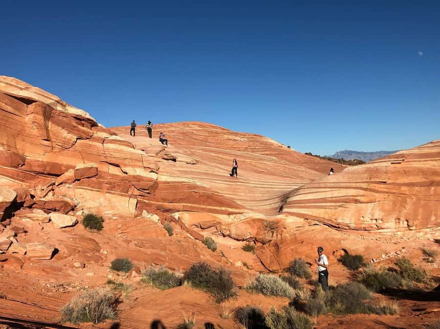 Las Vegas: Valley of Fire Half-Day Guided Hike with Pickup - White Dome Loop brings the biggest change of scenery