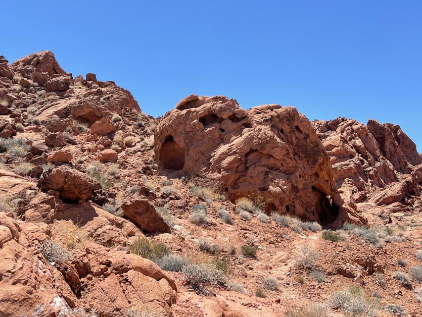 Las Vegas: Valley Of Fire State Park Tour - Is $145 a fair price?