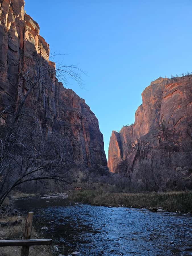 Las Vegas: Zion National Park Group Tour with Lunch - Viewpoints, photos, and time in the park