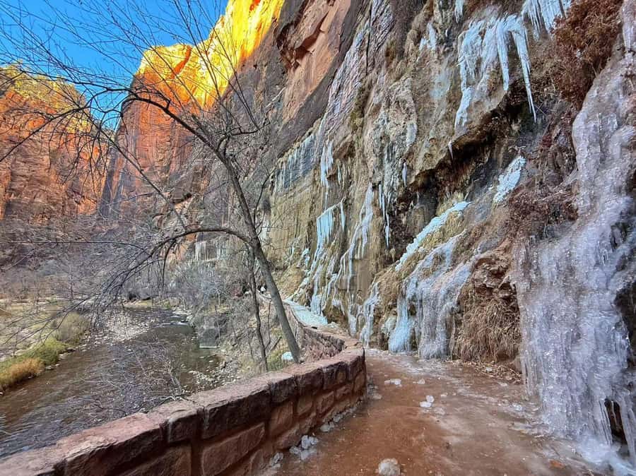 Las Vegas: Zion National Park Group Tour with Lunch - Early hotel pickup and the ride south