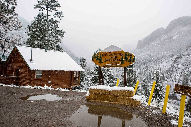 Mount Charleston Tour from Las Vegas - Key points to know before you book