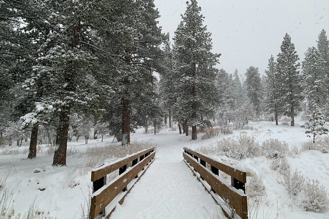 Mount Charleston Tour from Las Vegas - Leaving Las Vegas for cooler mountain air
