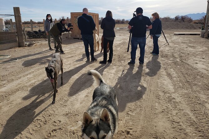 Nature Health Farms Alpaca Farm Petting Zoo Pahrump Death Valley - Who will enjoy Nature Health Farms most?