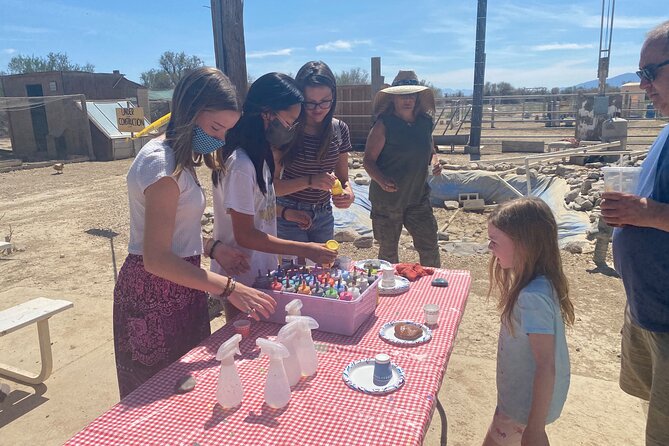 Nature Health Farms Alpaca Farm Petting Zoo Pahrump Death Valley - A family farm with a pleasantly odd personality