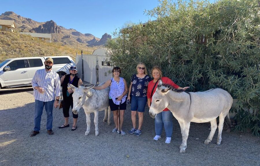 Oatman Mining Village: Burros/Route 66 Scenic Mountain Tour - The Black Mountains and 191 curves on the Sidewinder