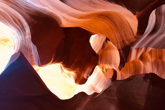 One day Grand Canyon Antelope Horseshoe :Stargazing Daily tour - A quick South Rim stop