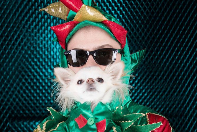 Piff the Magic Dragon at the Flamingo Las Vegas - Price, Seating, and Overall Value