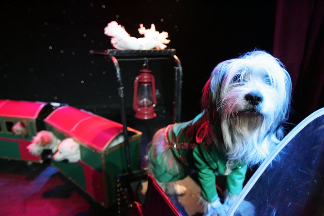 Popovich Comedy Pet Theater at Planet Hollywood Resort and Casino - What Popovich Comedy Pet Theater actually is