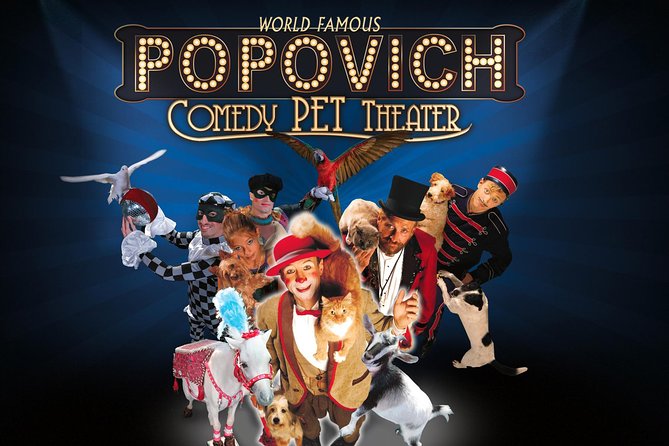 Popovich Comedy Pet Theater at Planet Hollywood Resort and Casino - The rescued cats are the main event