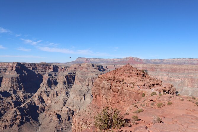 Private All-Access Tour: Grand Canyon & Hoover Dam from Vegas - The drive through Arizona’s Joshua Tree Forest
