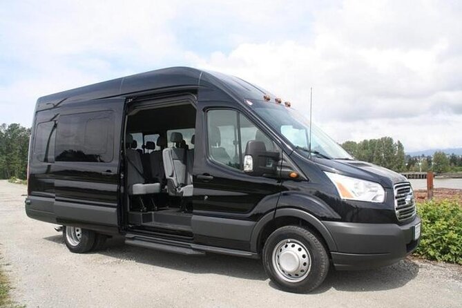 Private Departure Transfer Las Vegas City to LAS Airport - How to meet the driver at LAS for related service
